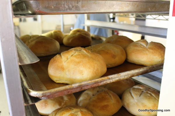 Homemade rolls - YUMMM!