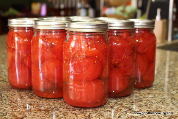 This is what a quarter bushel looks like canned (minus a few that we ate fresh). Approximately 9 qts.