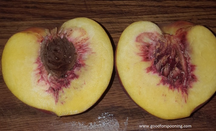 Notice how the pit comes away cleanly from the flesh? That's the beauty of a freestone peach