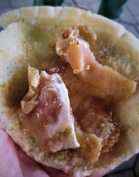 Fesikh is salted fermented mullet